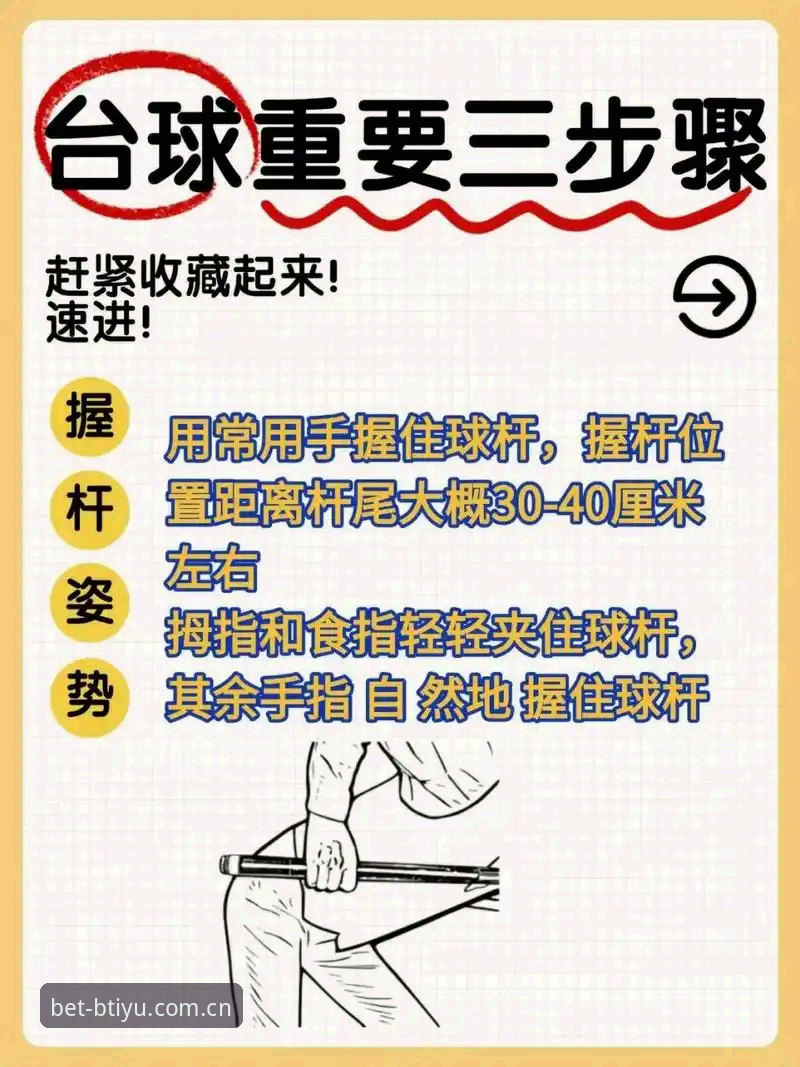 b体育怎么使用？新手必看完整操作指南与最新动态